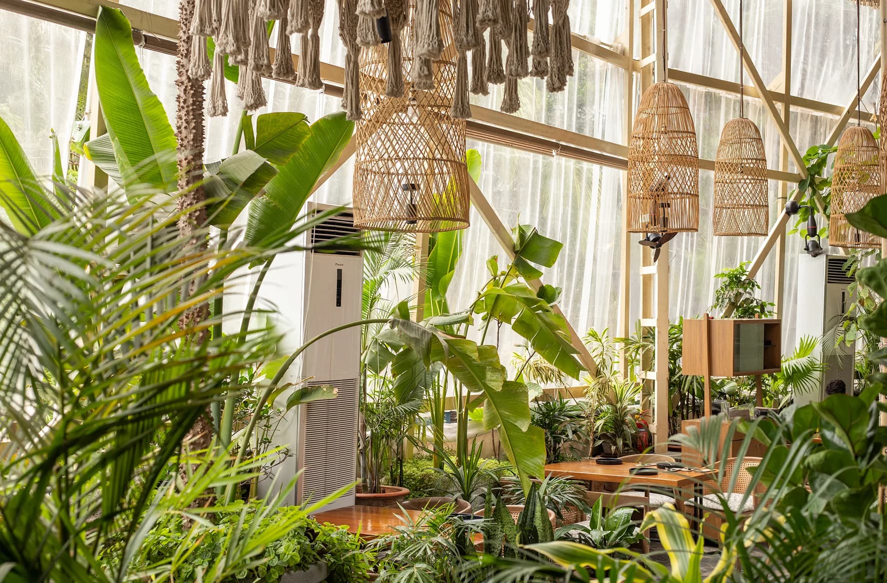 Garden Design & Landscaping