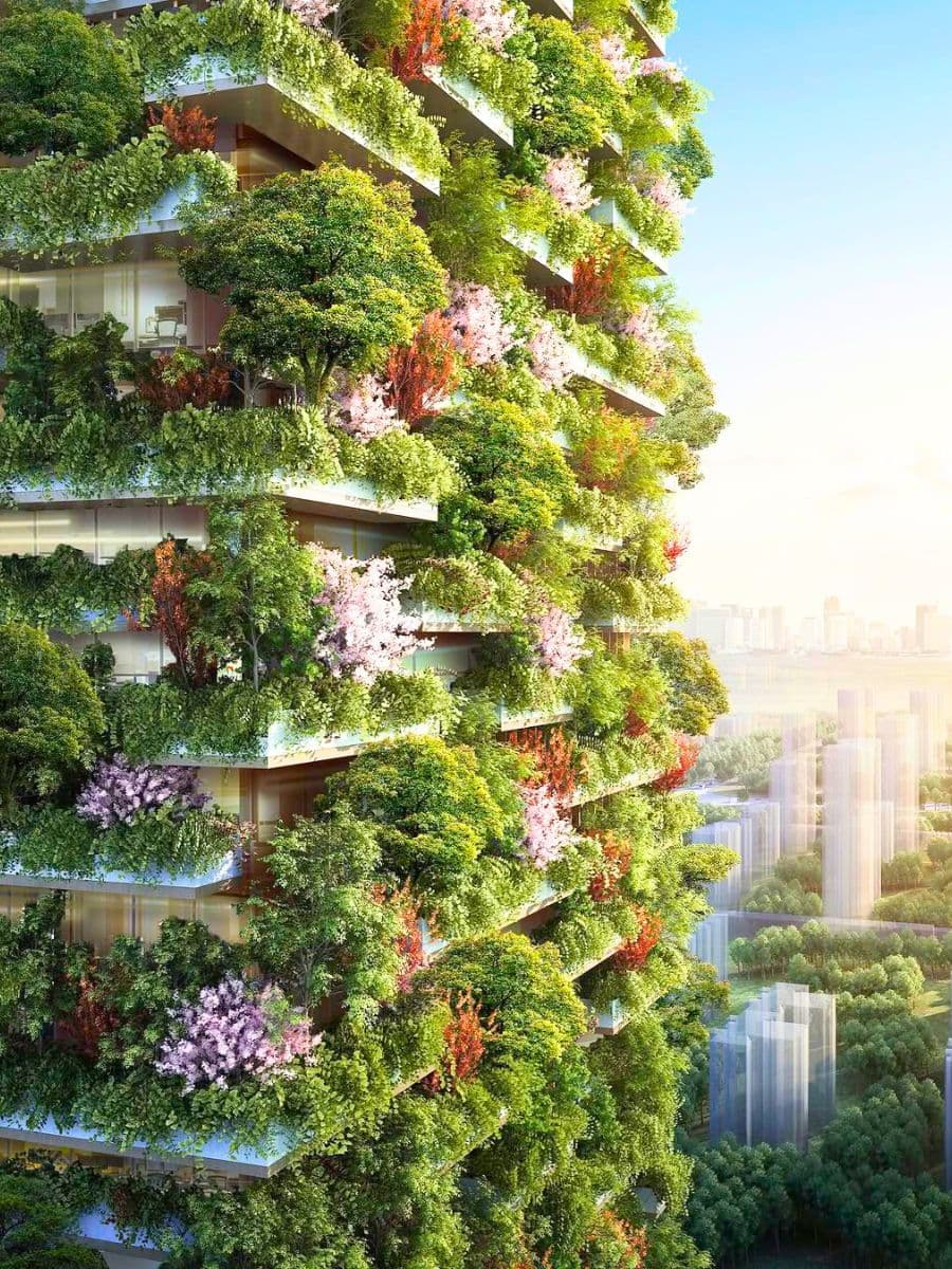 Vertical Garden Installation