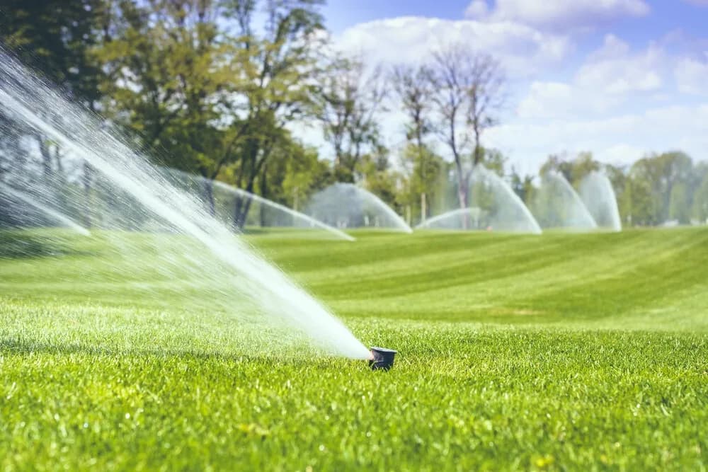 Lawn Care