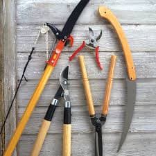 Pruning & Cutting