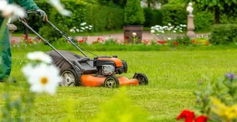 Garden Cleaning