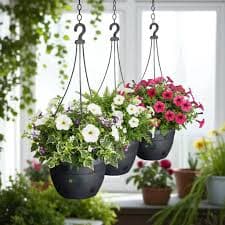 Hanging Baskets